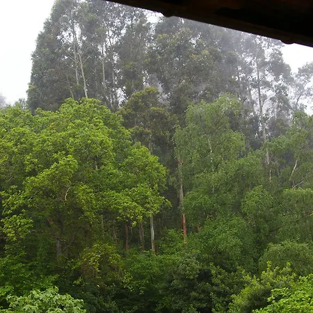 乡村民宿 El Juacu 利亚内斯