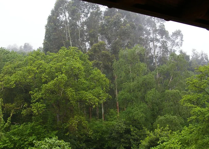 Séjour à la campagne El Juacu Llanes